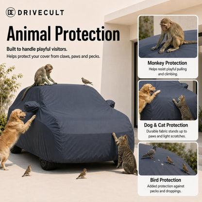 Maruti Suzuki Victoris Body Cover Spyro Grey body cover